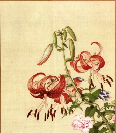 画册设计百合花与缠枝牡丹古画图片