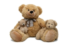 幸福宝宝幸福的玩具熊妈妈熊宝宝图片