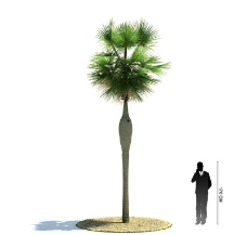 绿树3D绿色树木模型图片