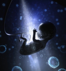 婴儿世界未来世界科技婴儿宝宝图片