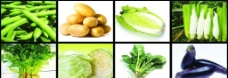豌豆蔬菜图片
