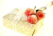 玫瑰花粉色花朵蝴蝶结生日礼物图片