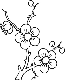 线描花卉图片免费下载,线描花卉设计素材大全,线描花卉模板下载,线描