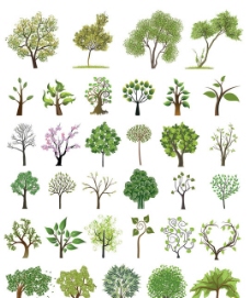 树木树叶矢量素材图片