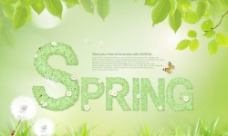 春天spring图片