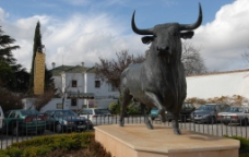 西班牙公牛图片