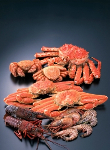 龙虾 螃蟹图片