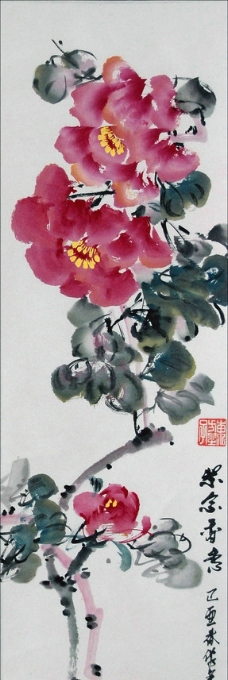 紫金香蕙图片