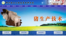 生猪养殖猪生产技术专题页面图片