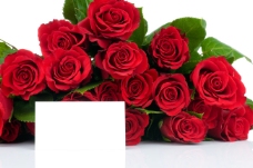 红玫瑰与卡片高清图片素材