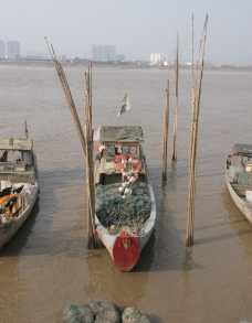 上江浙江温州苍南敖江上的小渔船图片