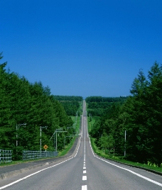 景区笔直公路图片